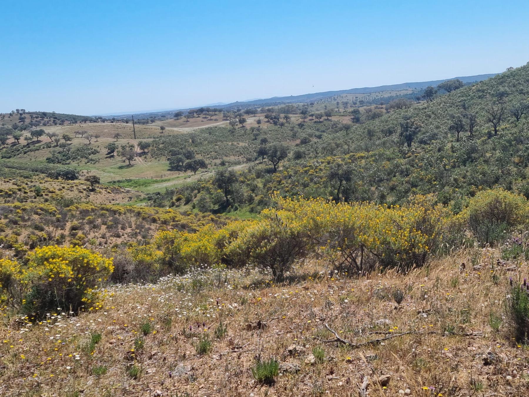 Venta de terreno en Villanueva del Fresno