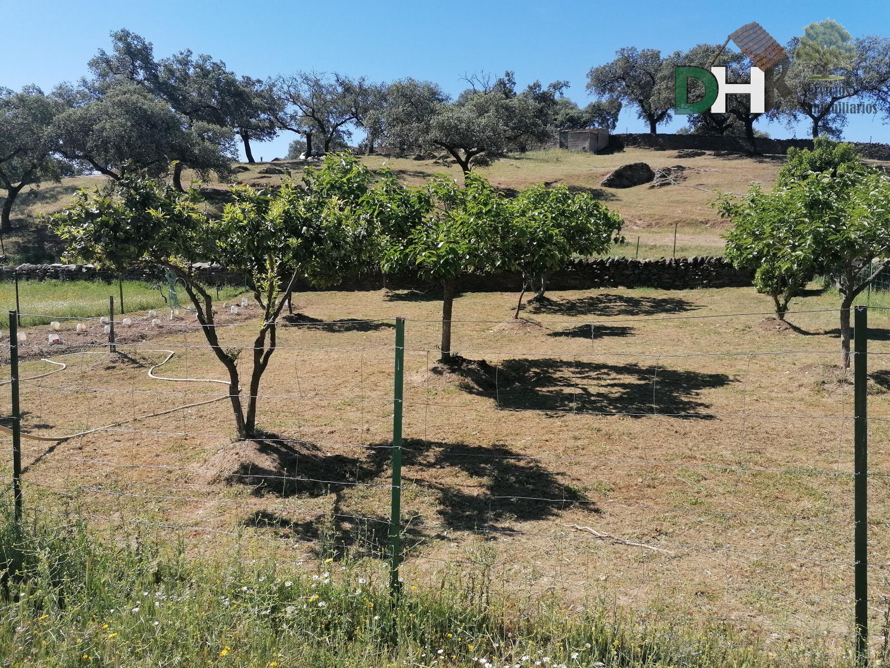 Venta de terreno en Cáceres