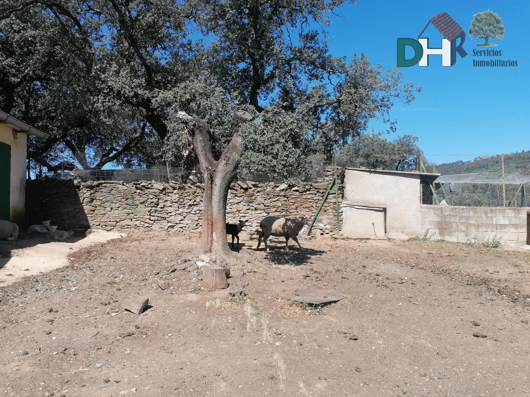 Venta de terreno en Cáceres