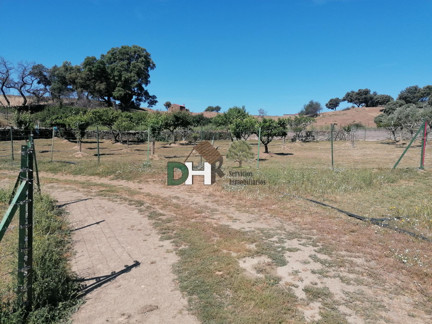 Venta de terreno en Cáceres