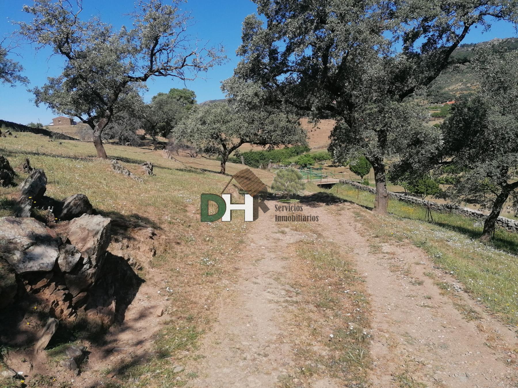 For sale of land in Cáceres