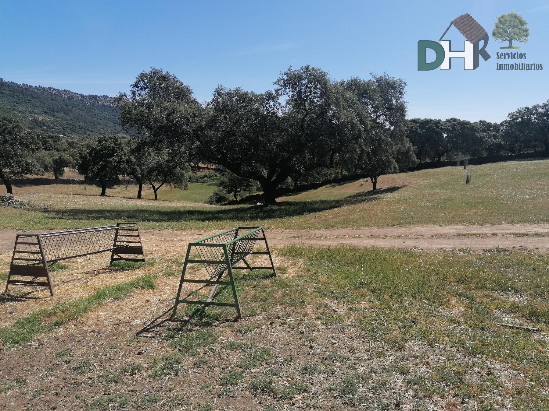 For sale of land in Cáceres