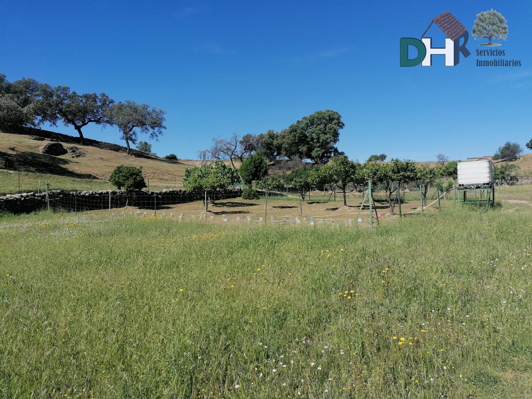 For sale of land in Cáceres