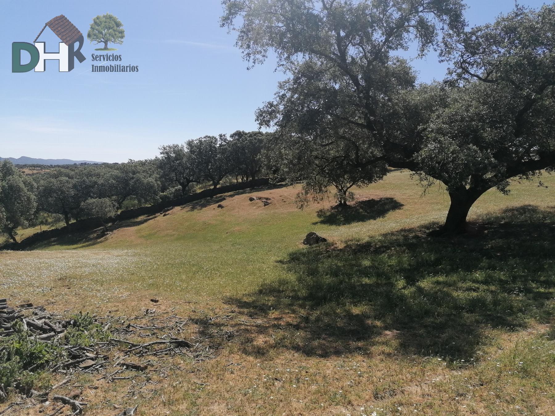 For sale of land in Cáceres