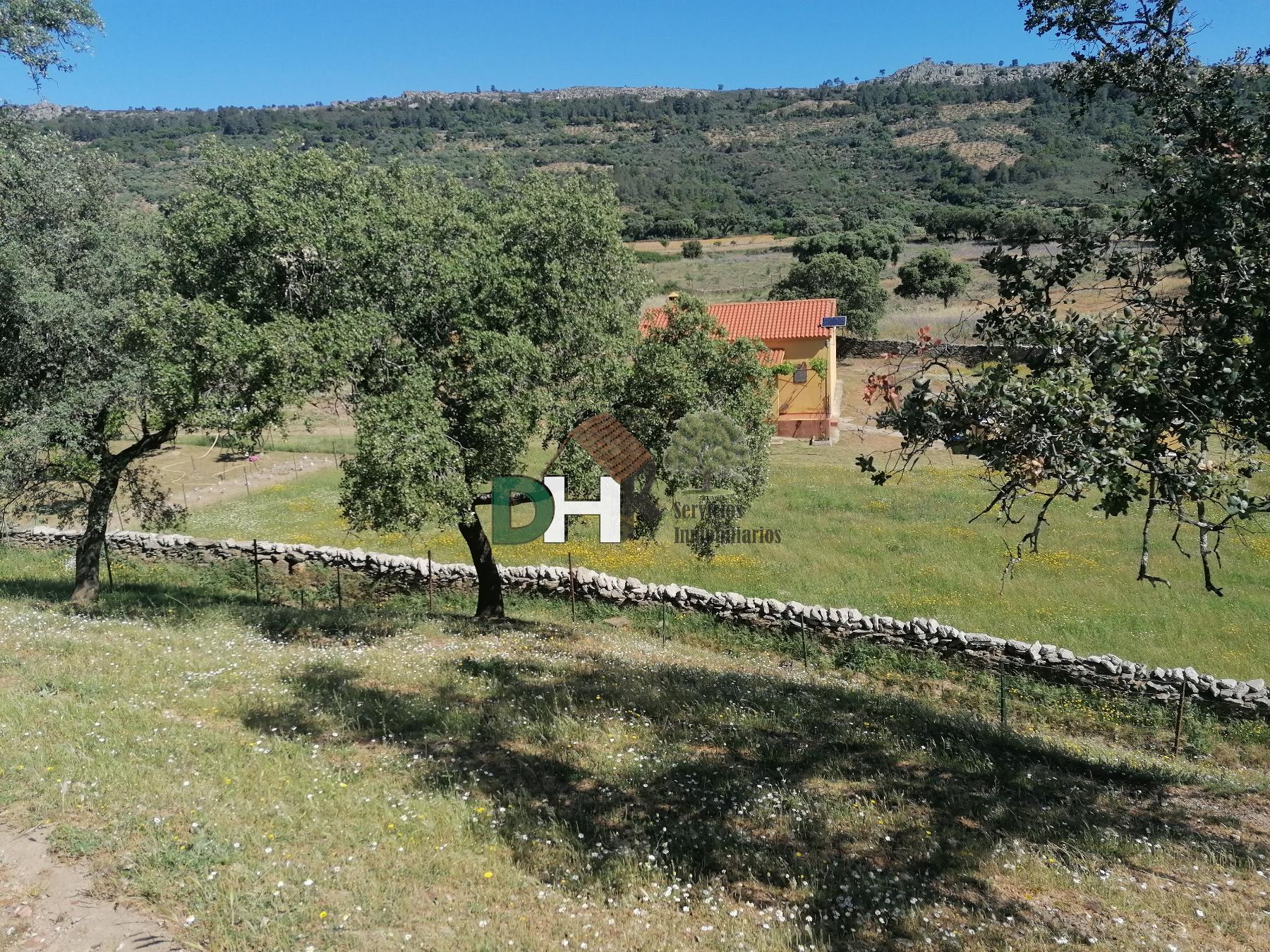 Venta de terreno en Cáceres