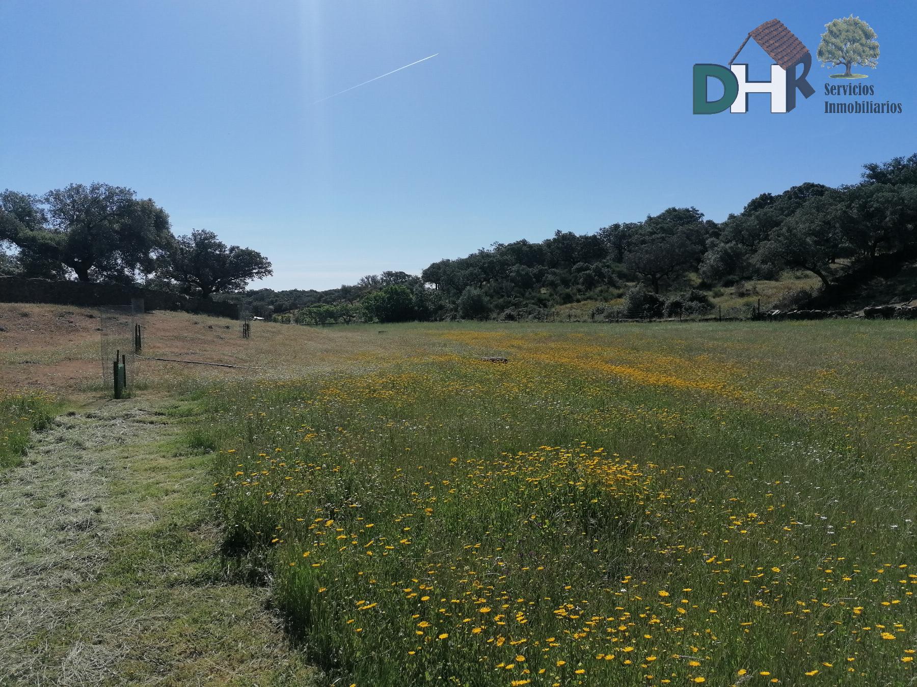 Venta de terreno en Cáceres