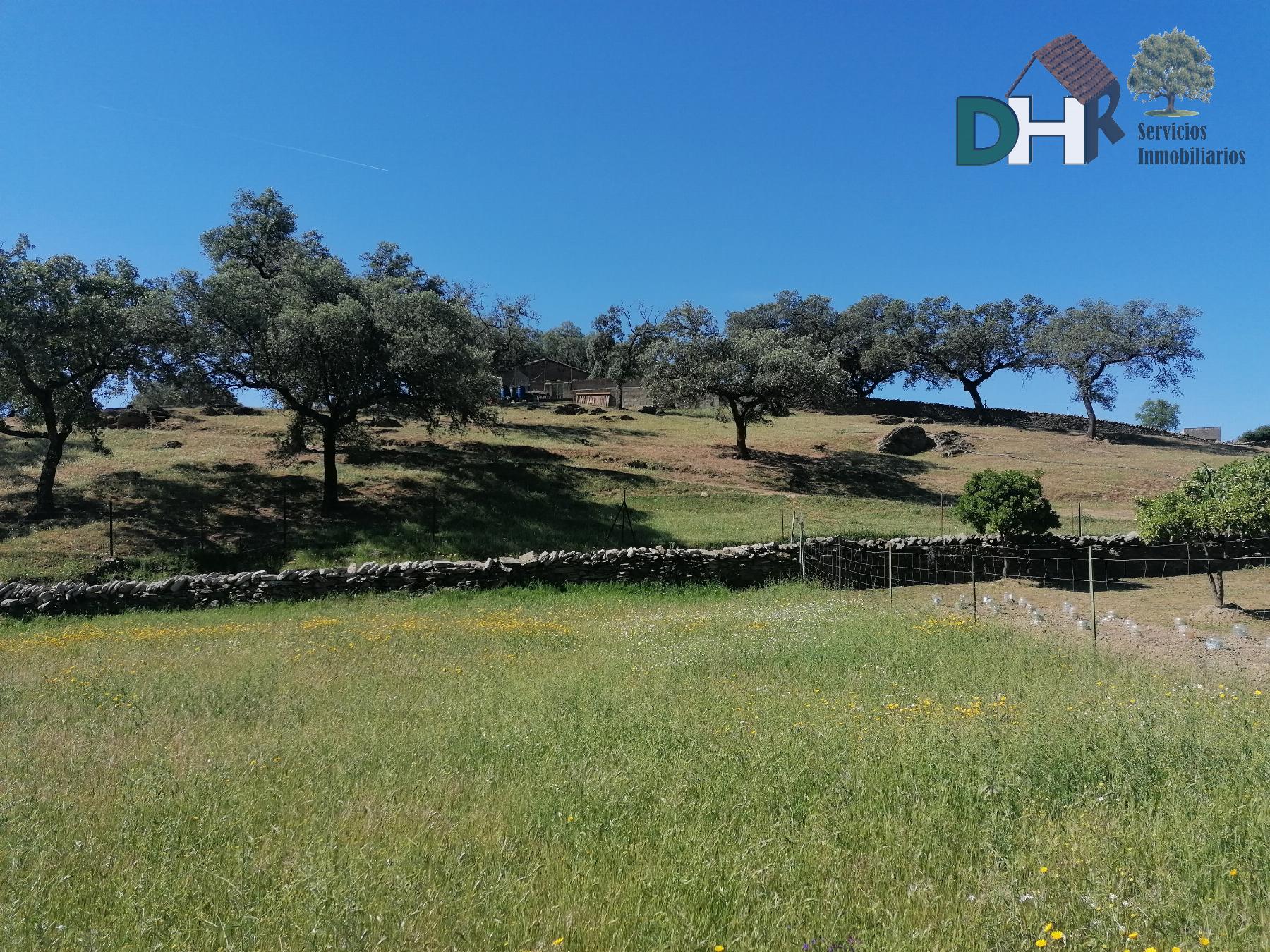 Venta de terreno en Cáceres