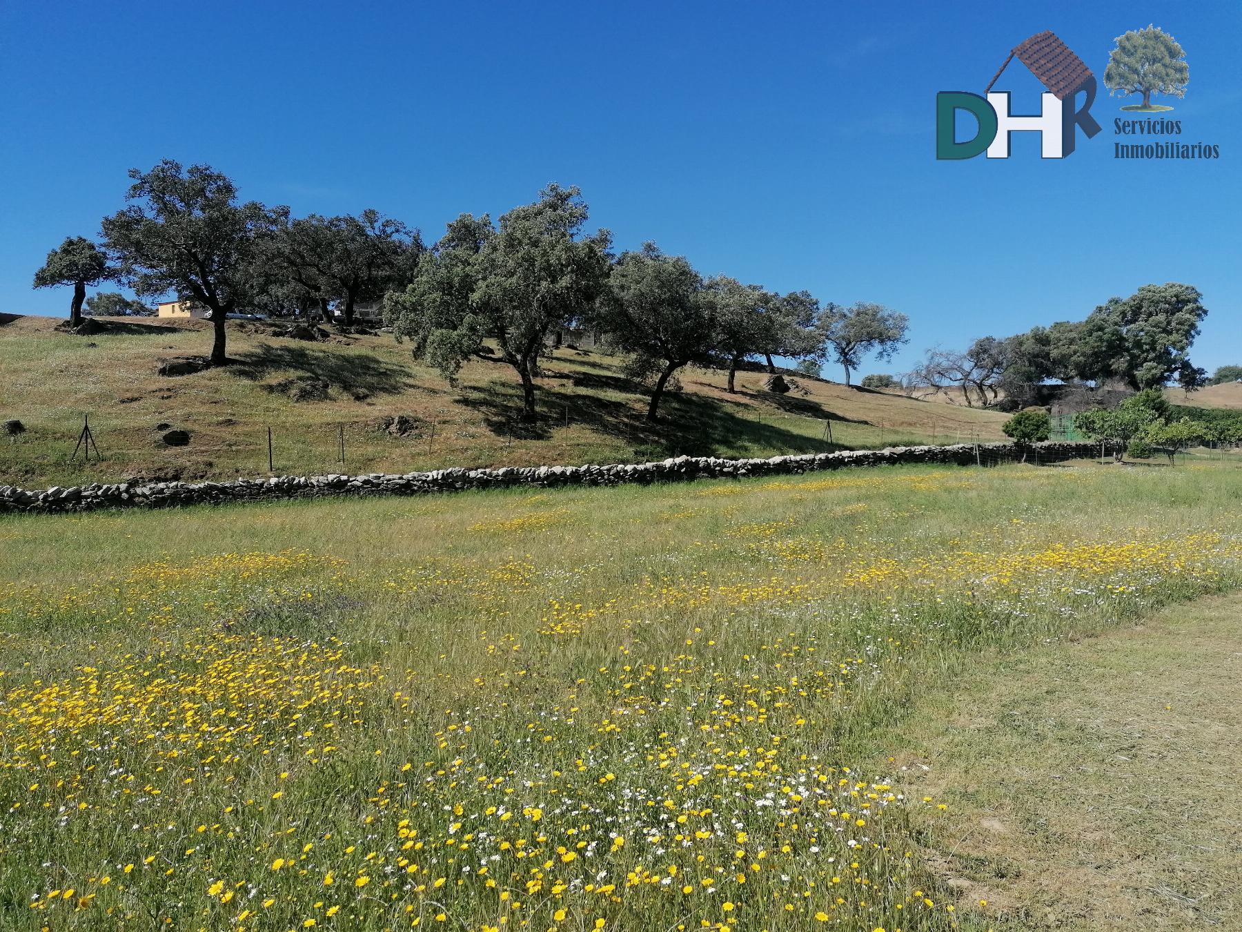 For sale of land in Cáceres