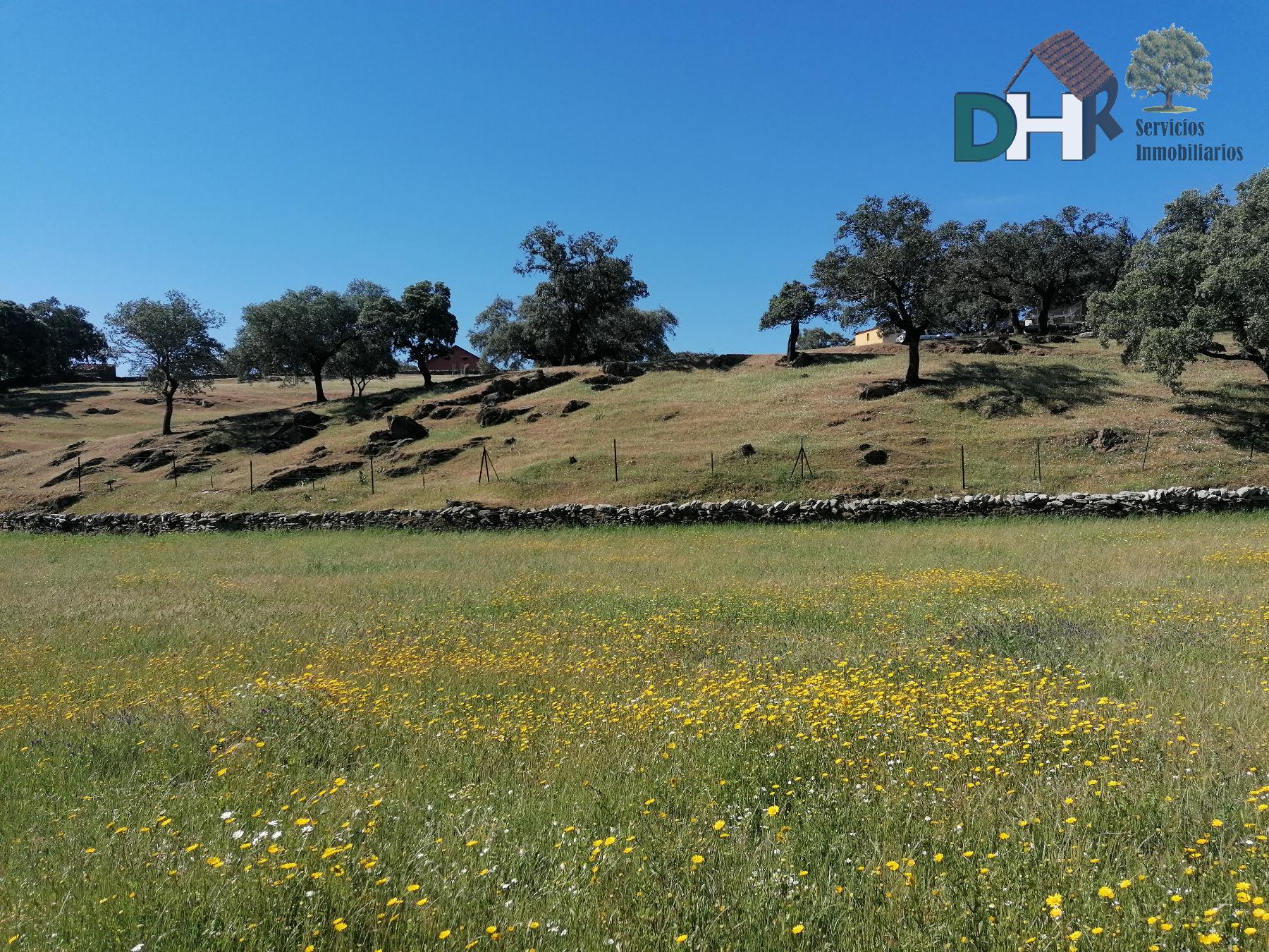 Venta de terreno en Cáceres