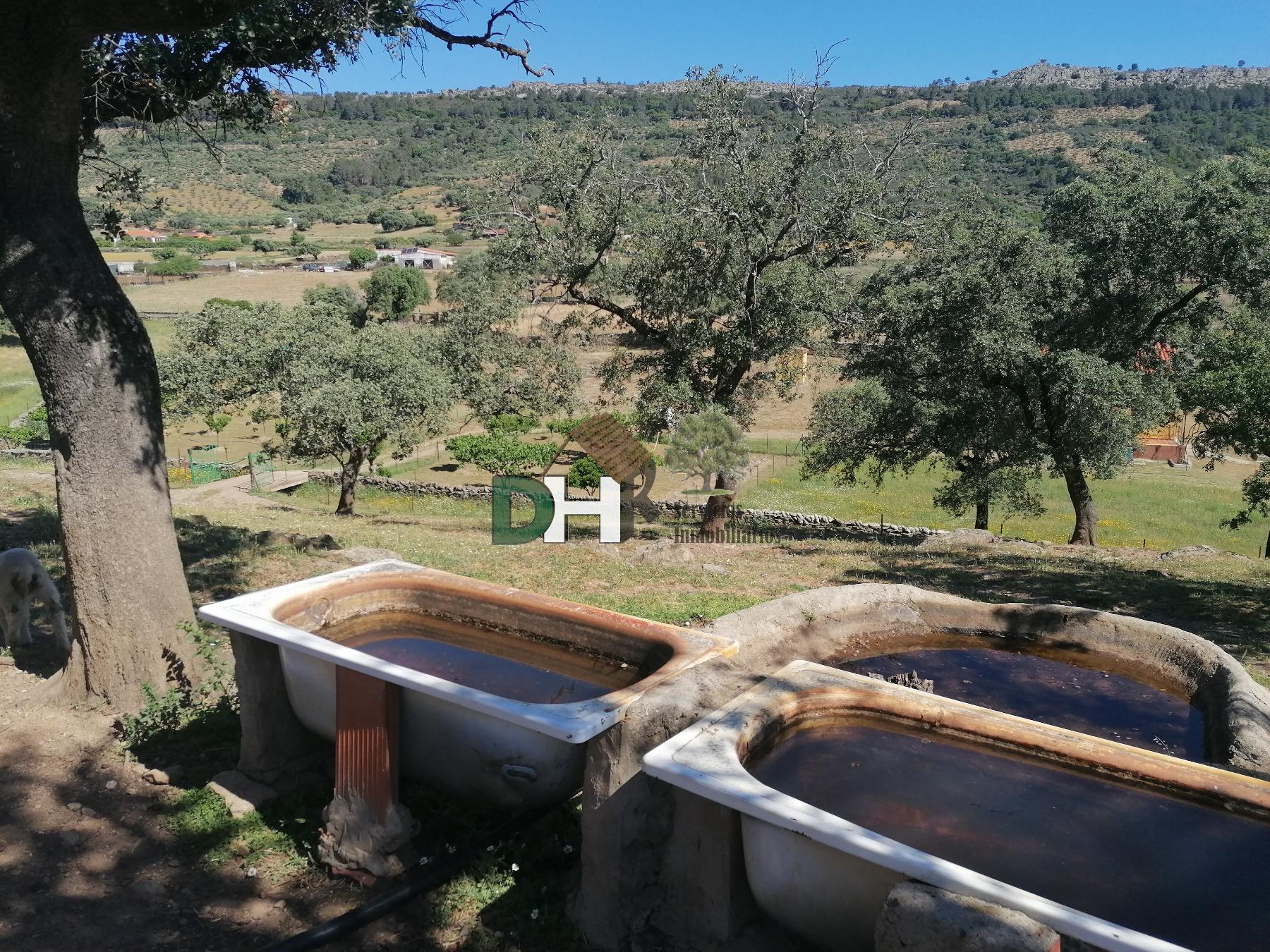 For sale of land in Cáceres