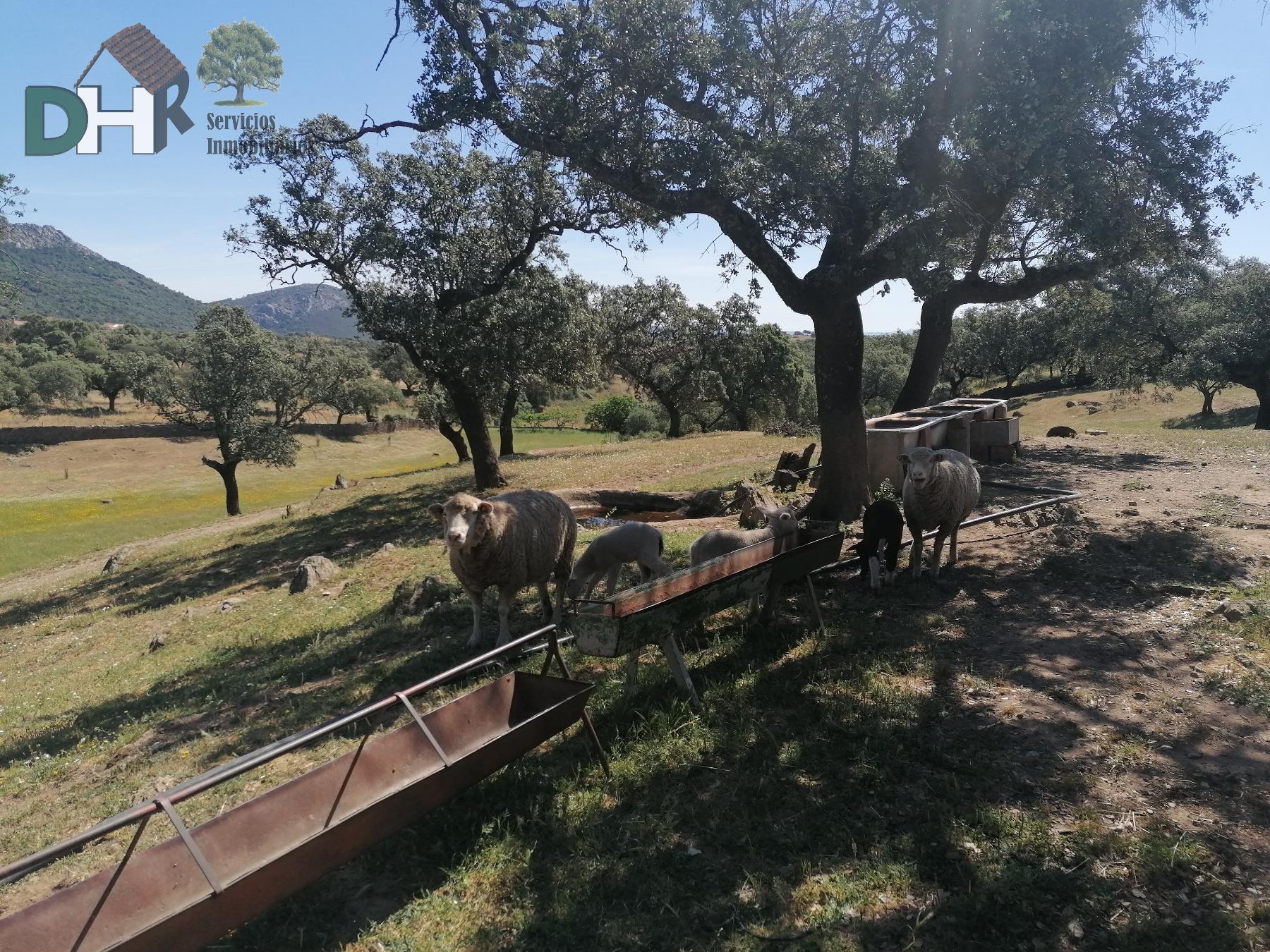 Venta de terreno en Cáceres