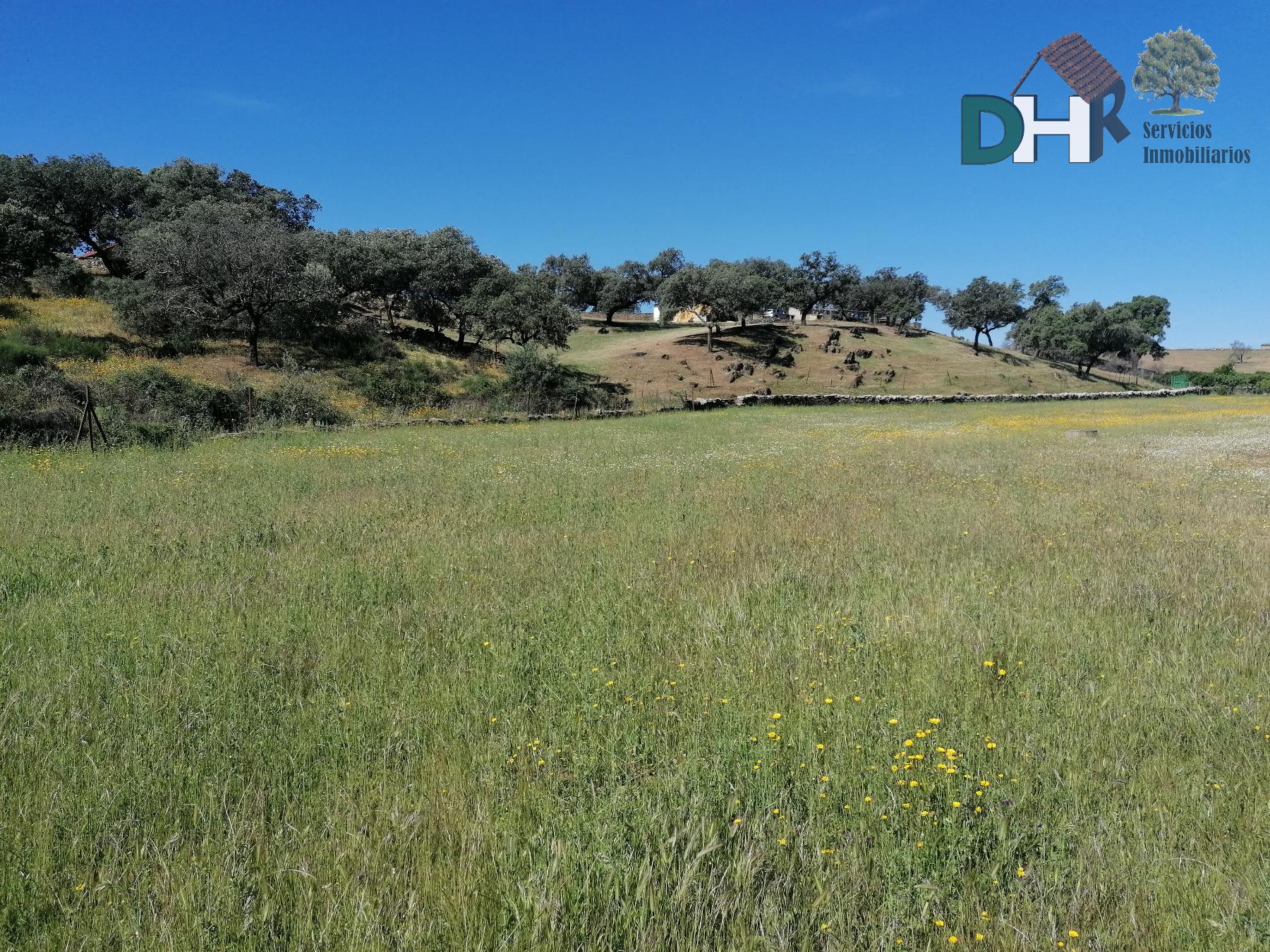 Venta de terreno en Cáceres