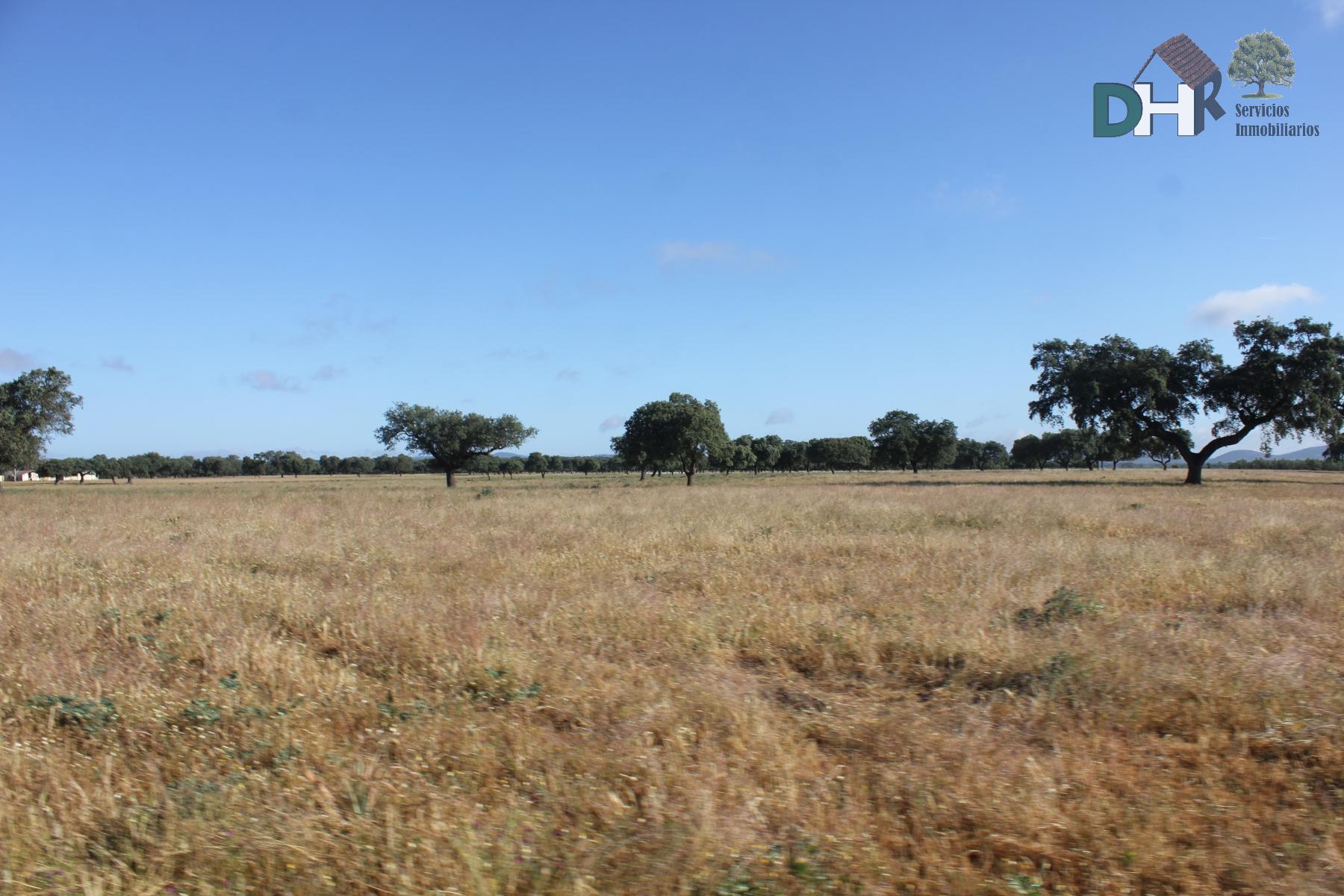 Venta de terreno en Badajoz