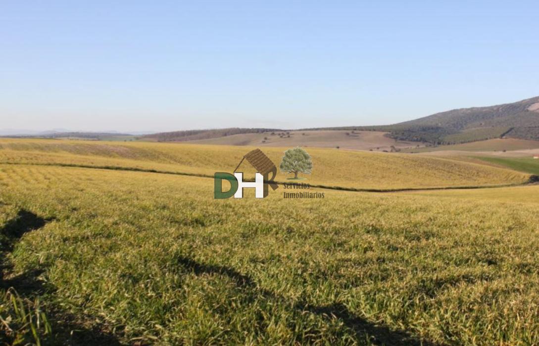 For sale of land in Salamanca