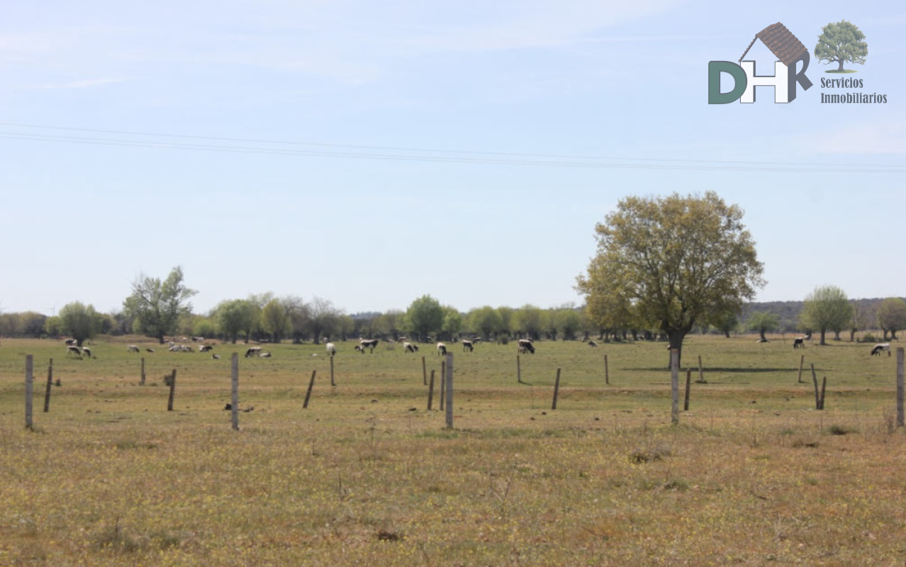 Venta de terreno en Salamanca