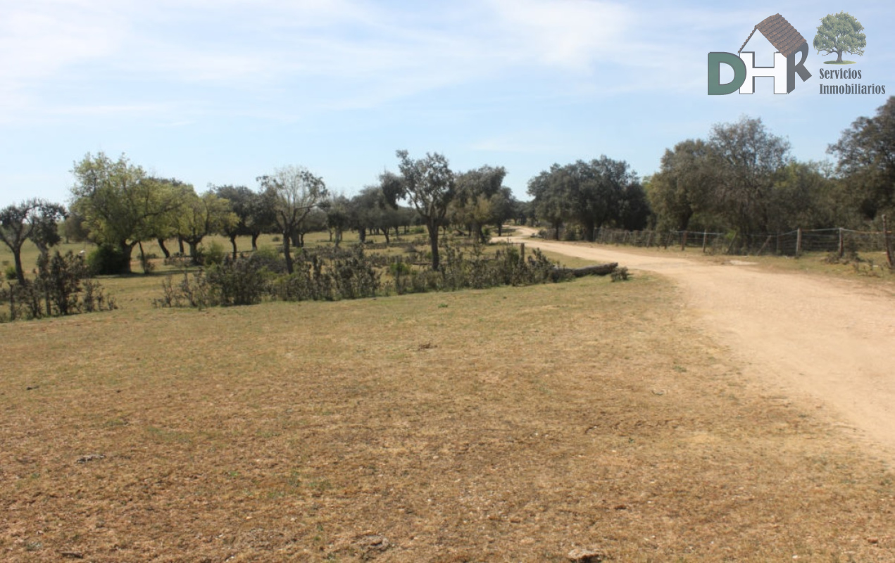 For sale of land in Salamanca