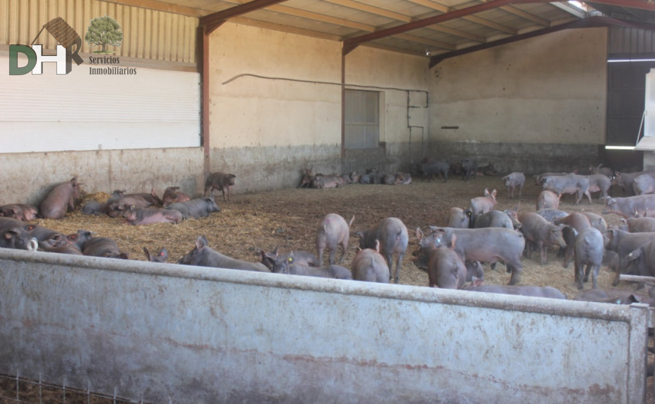 For sale of land in Salamanca