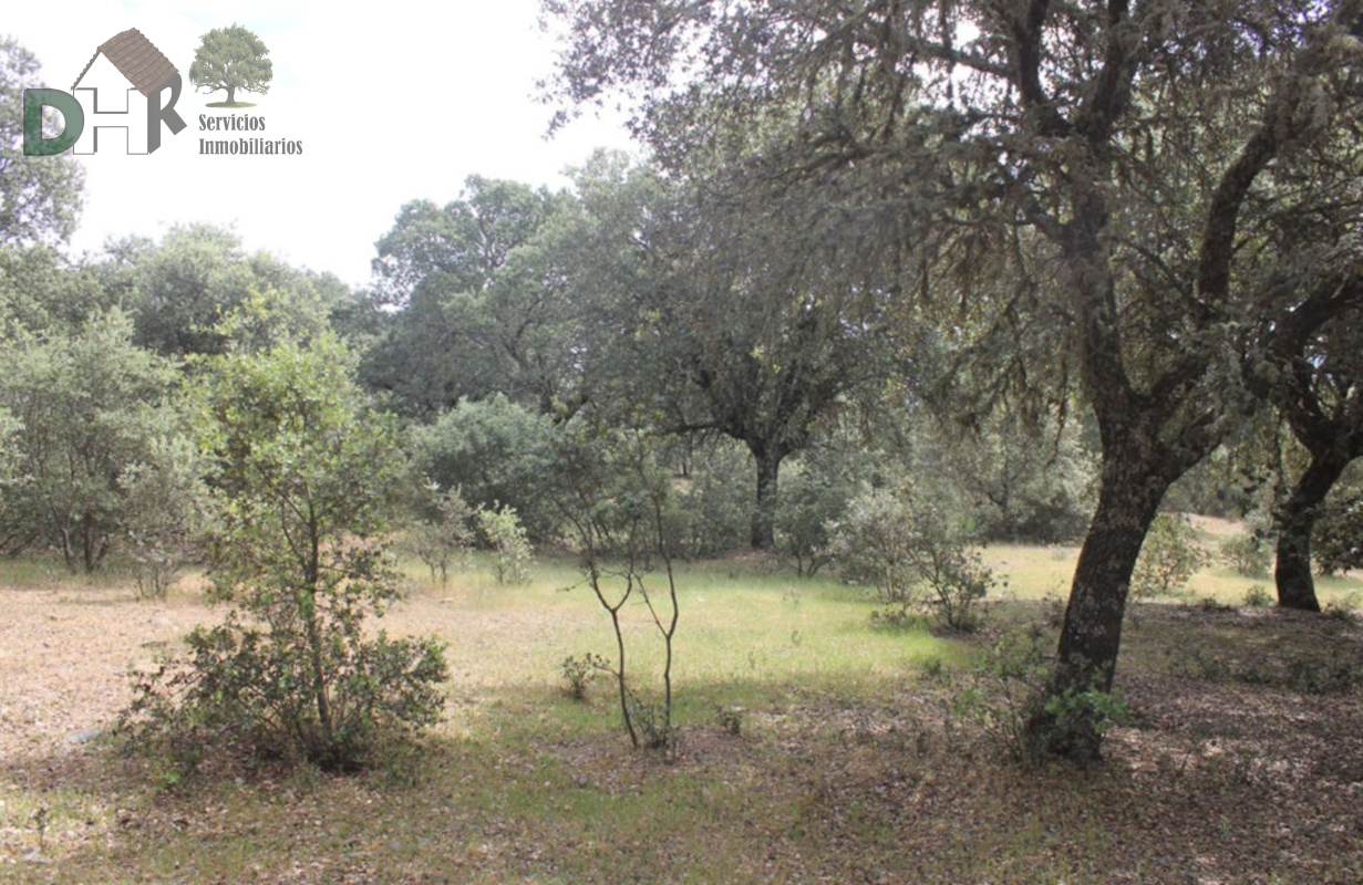 For sale of land in Cáceres