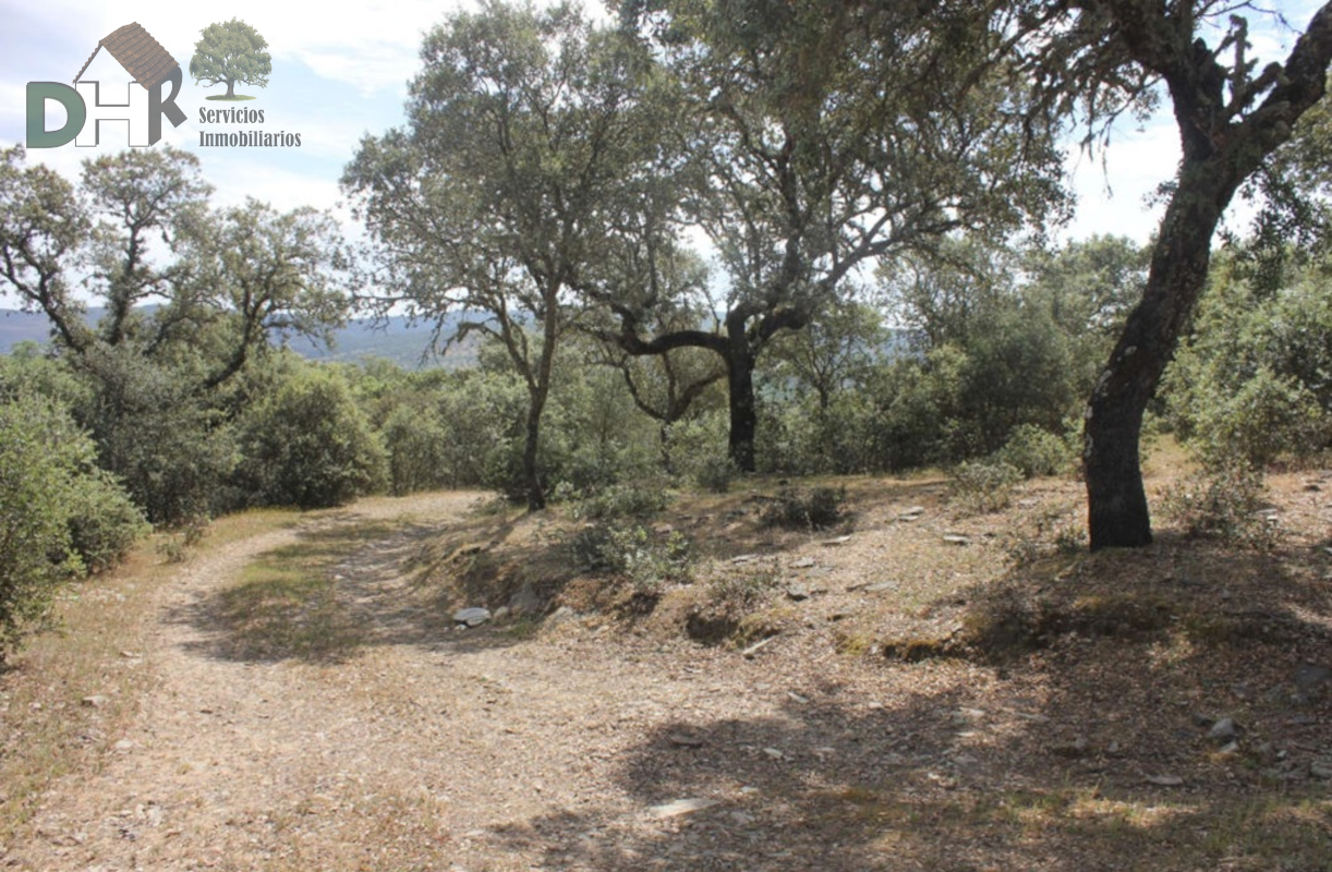 For sale of land in Cáceres