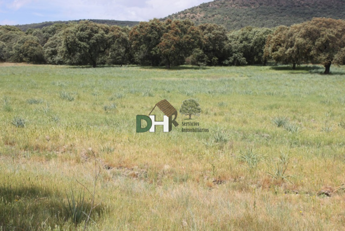 For sale of land in Cáceres