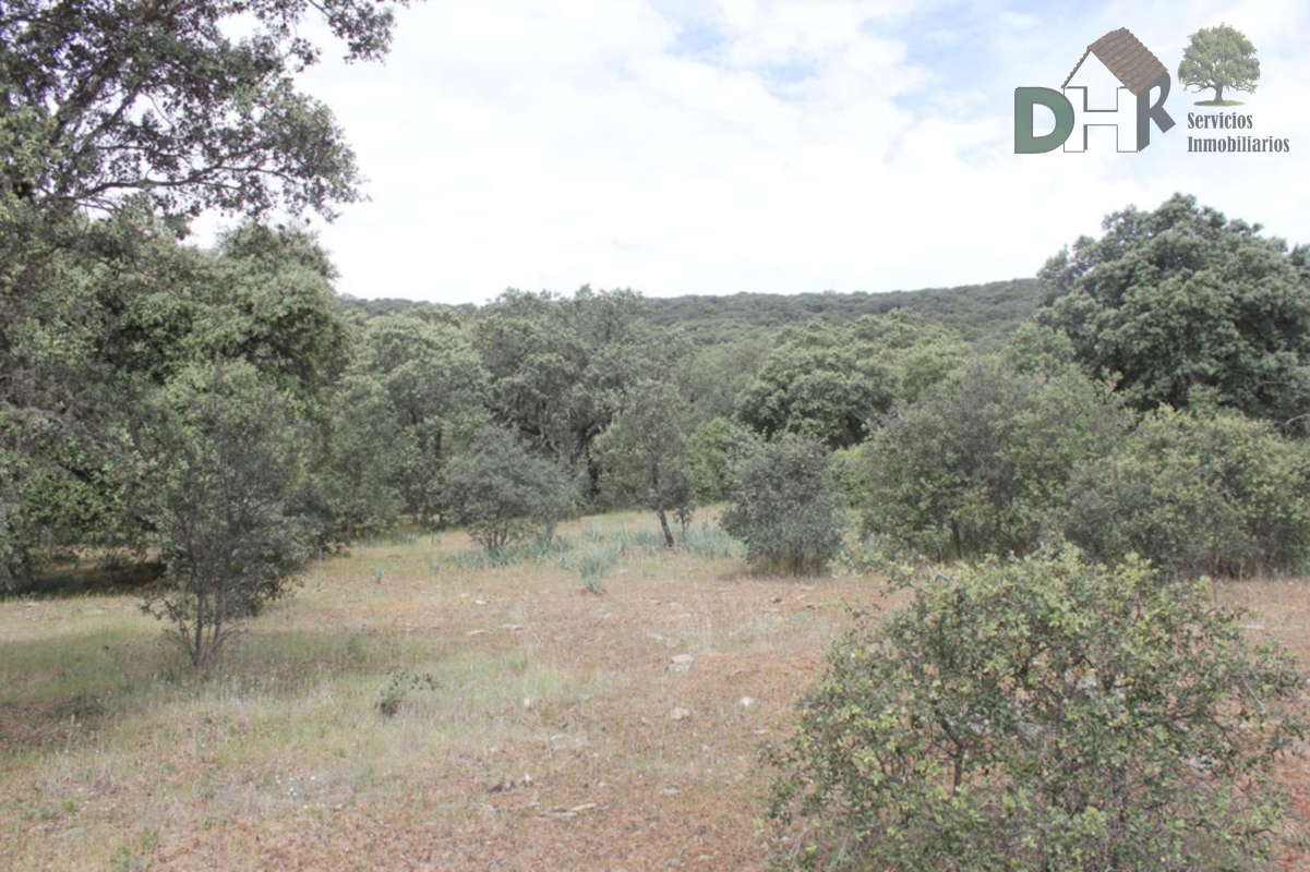 For sale of land in Cáceres