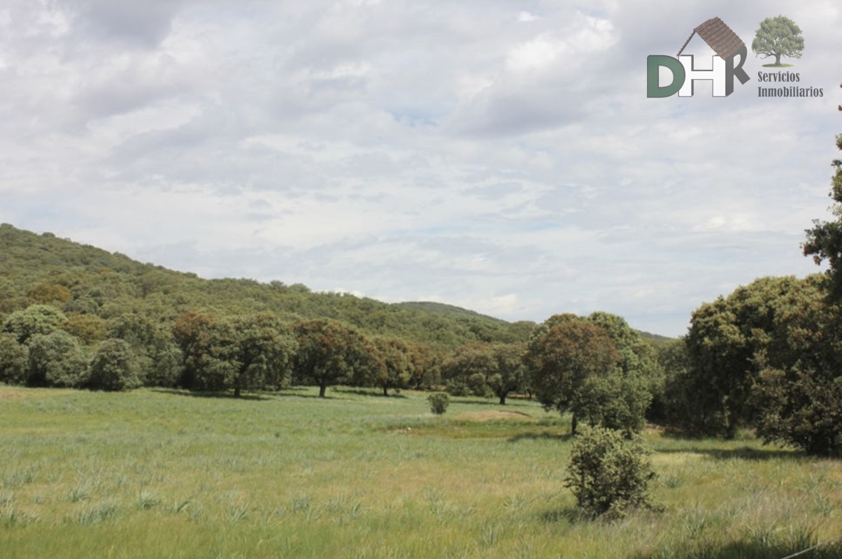 For sale of land in Cáceres