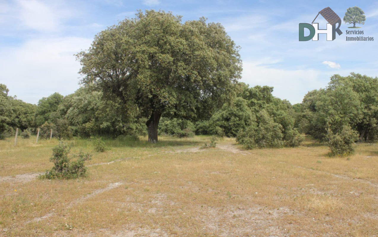 For sale of land in Salamanca