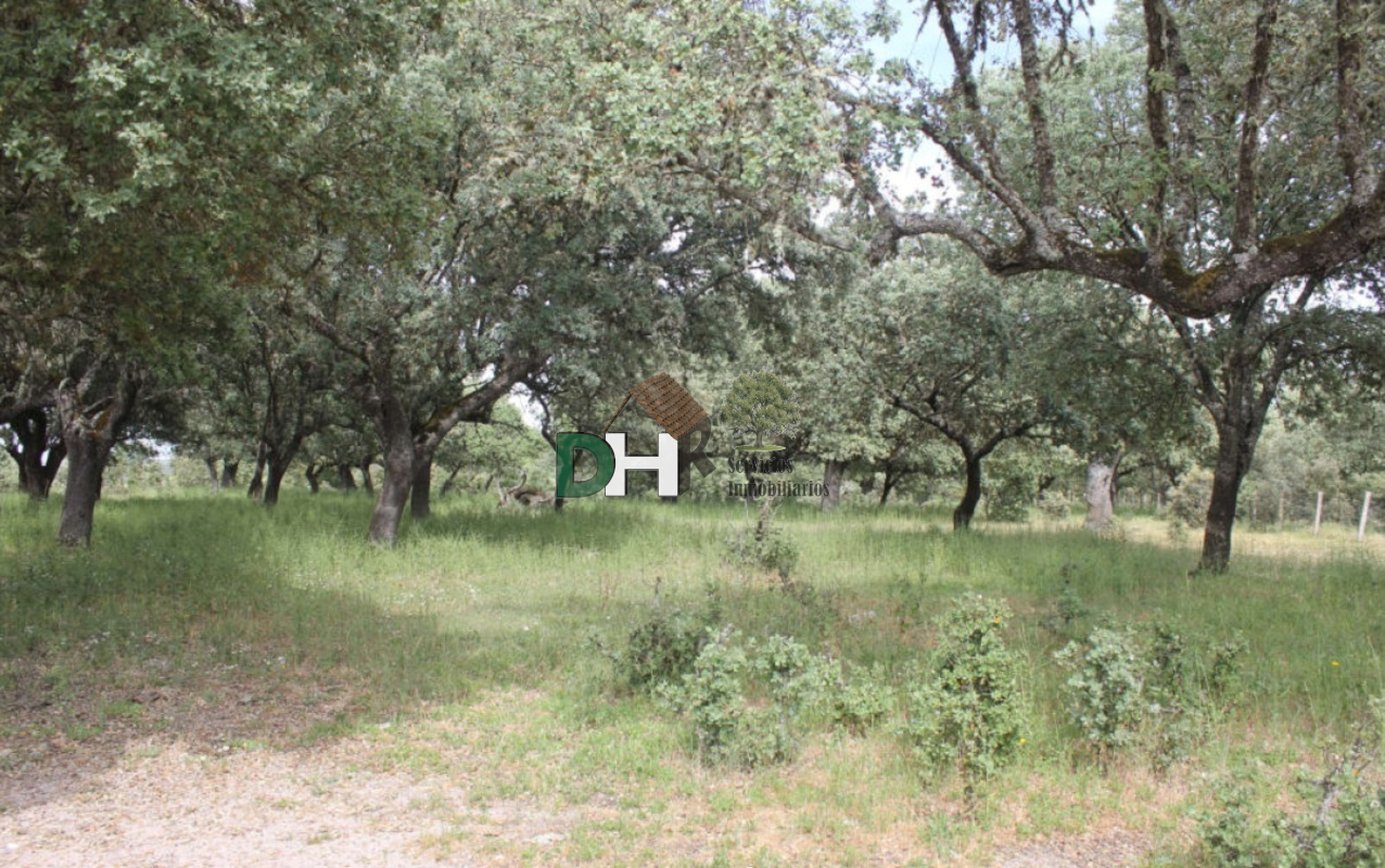 For sale of land in Salamanca