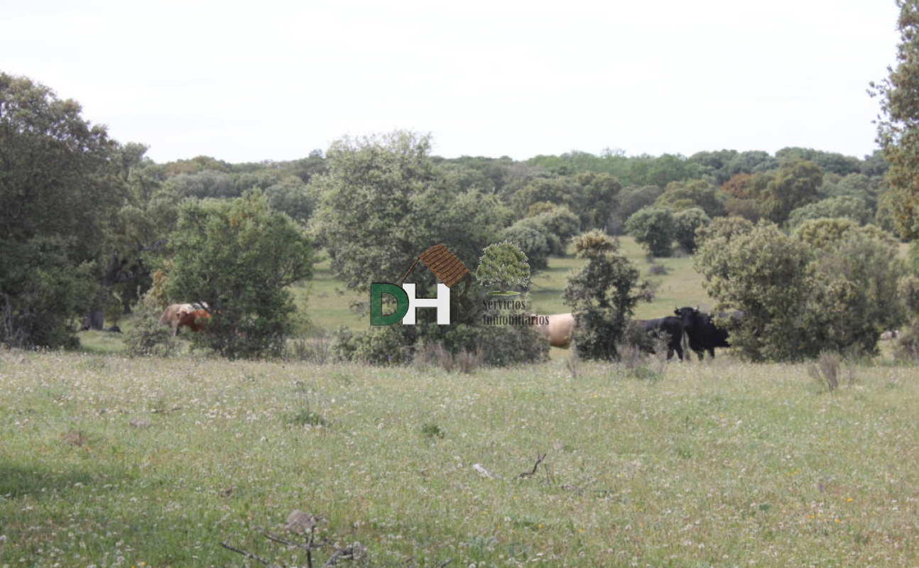 For sale of land in Salamanca