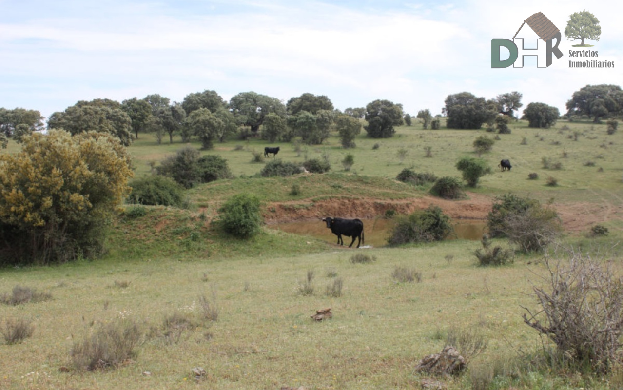 For sale of land in Salamanca