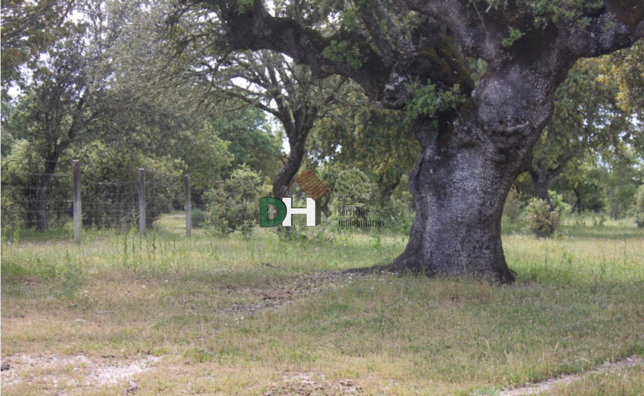 Venta de terreno en Salamanca