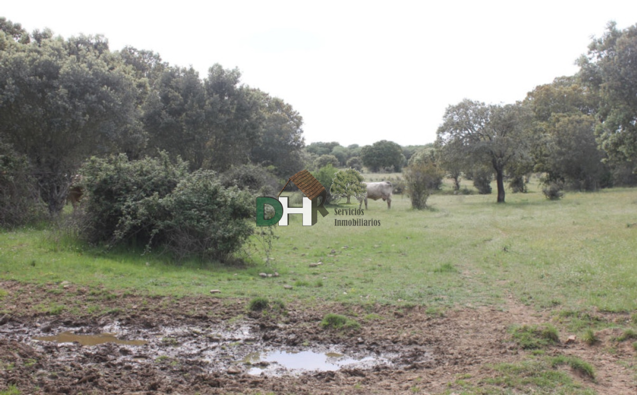 For sale of land in Salamanca