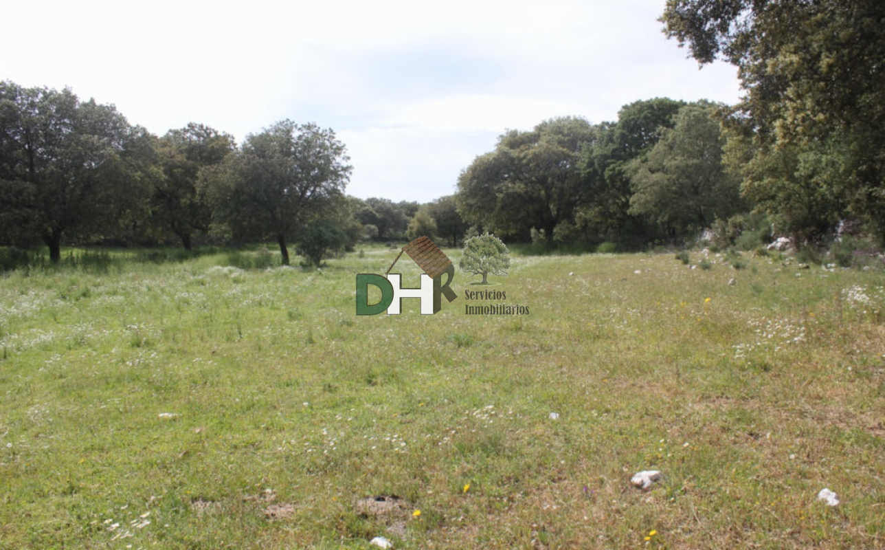 For sale of land in Salamanca