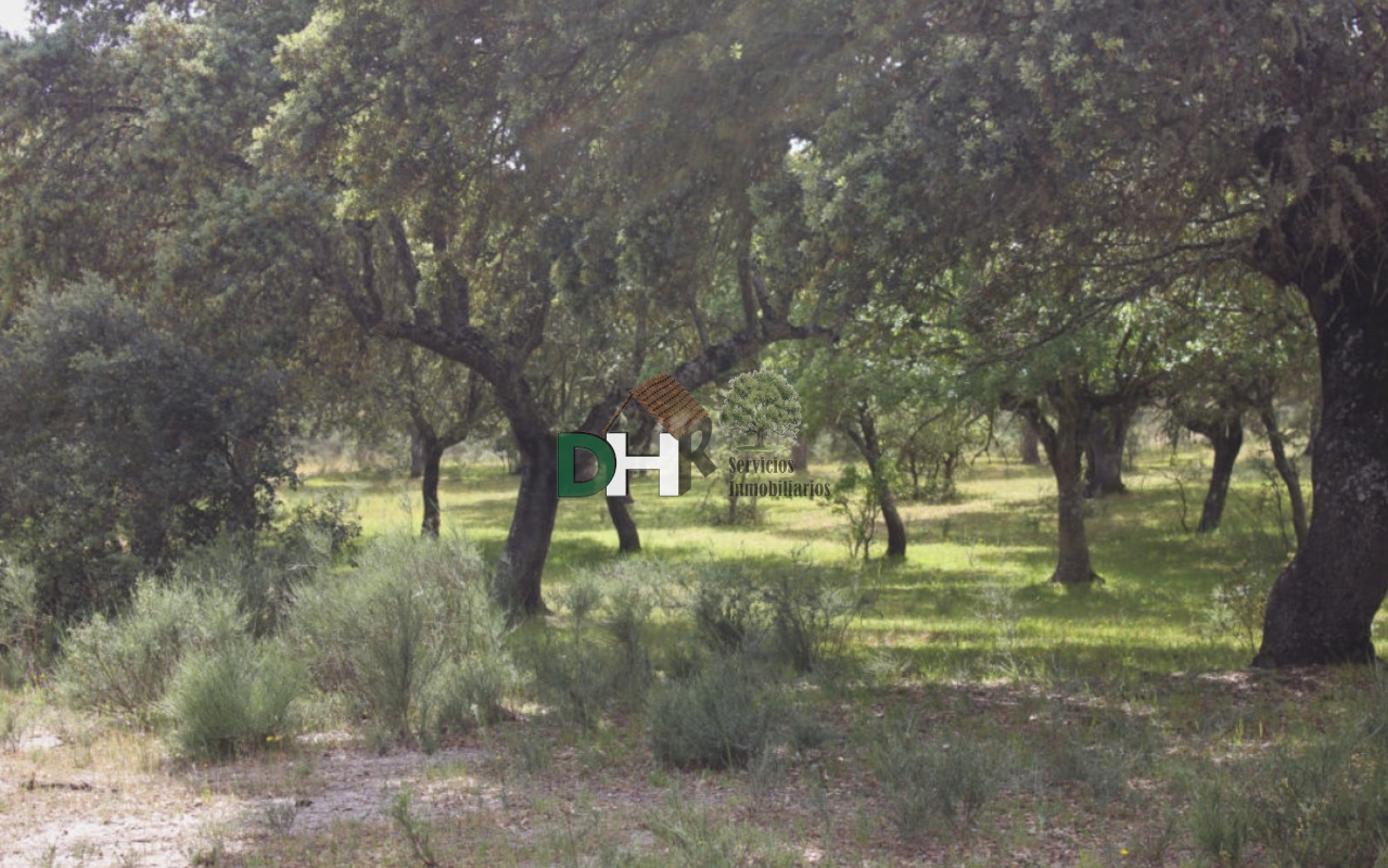 For sale of land in Salamanca