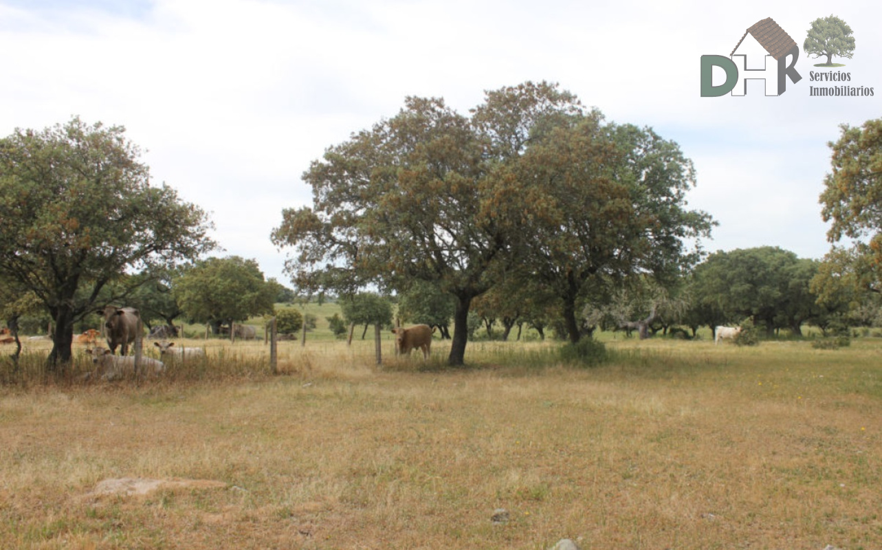 For sale of land in Salamanca