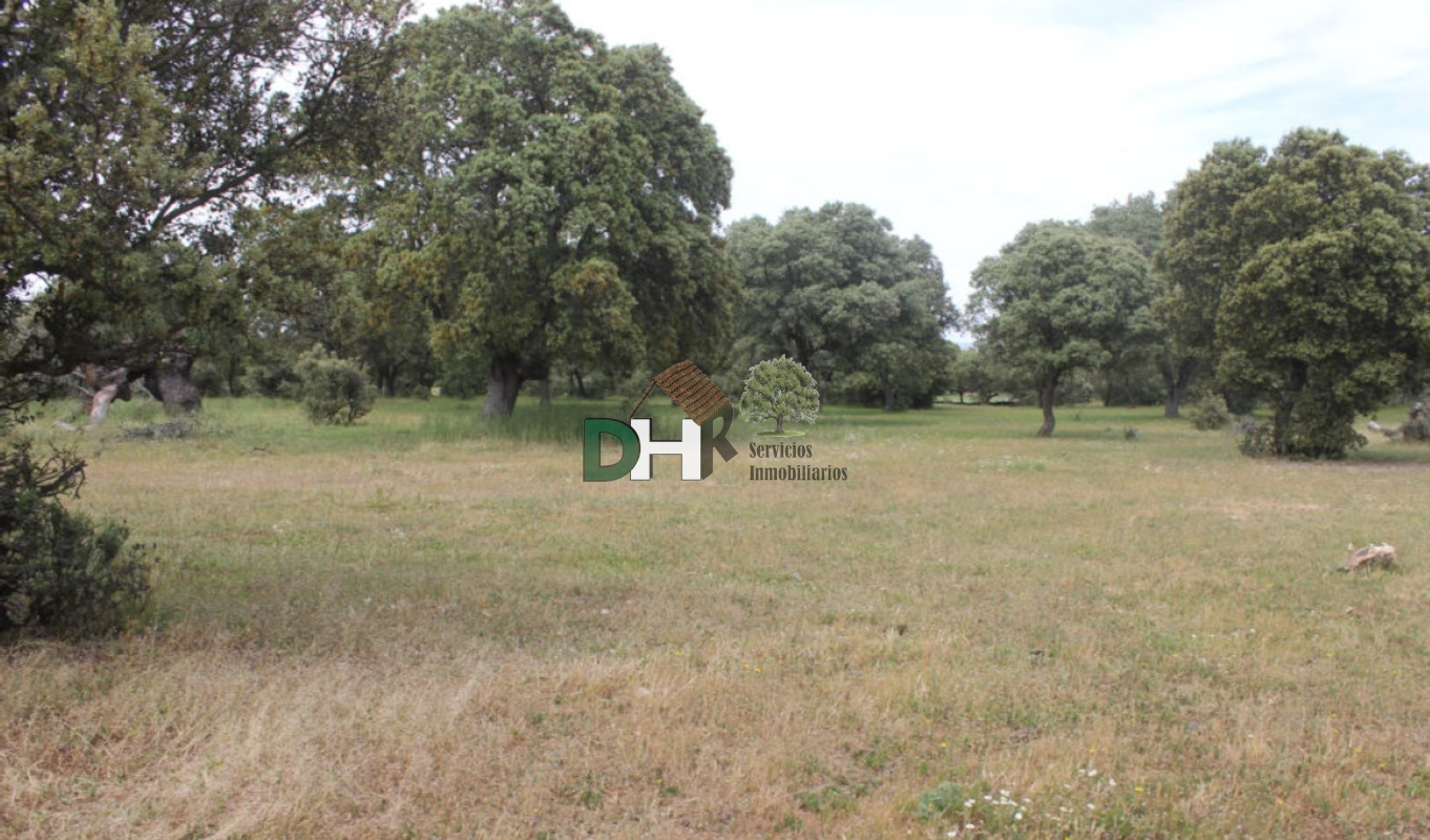 For sale of land in Salamanca