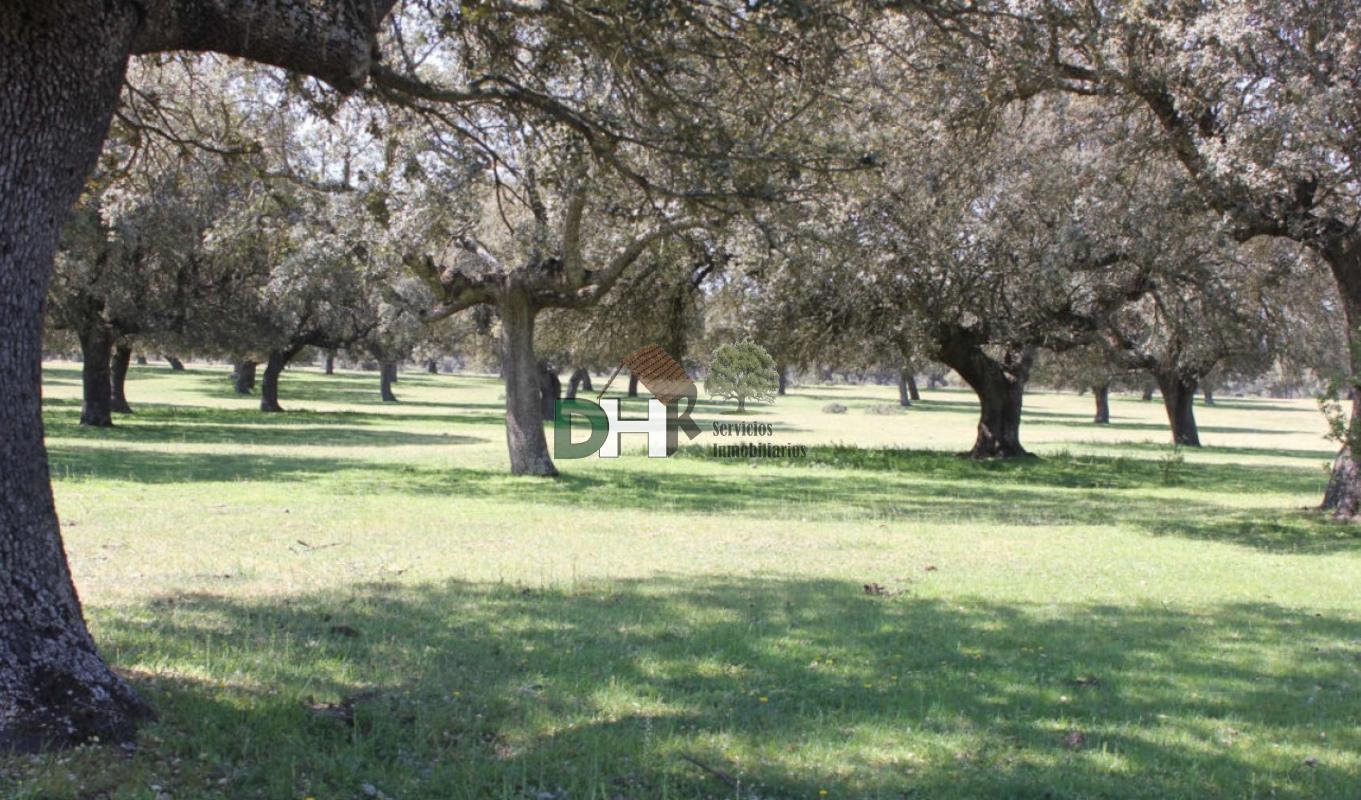 Venta de terreno en Salamanca