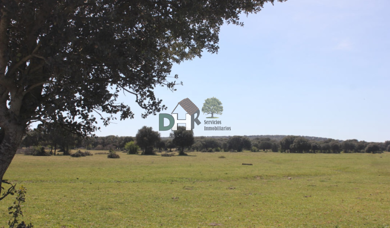 For sale of land in Salamanca