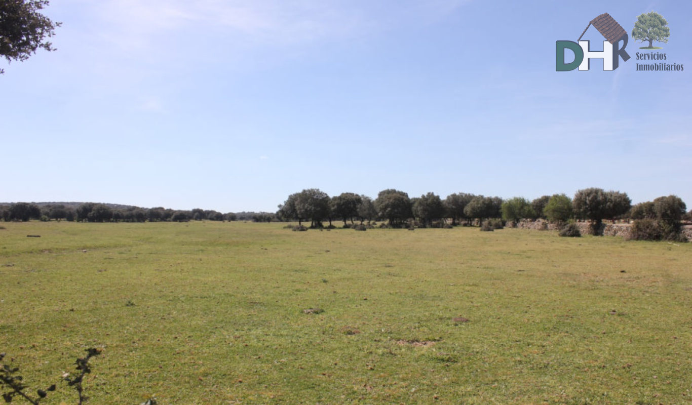For sale of land in Salamanca