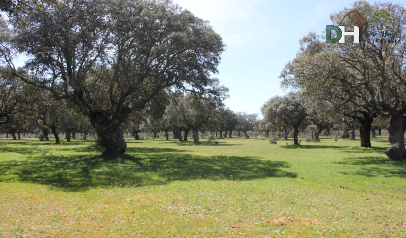 Venta de terreno en Salamanca