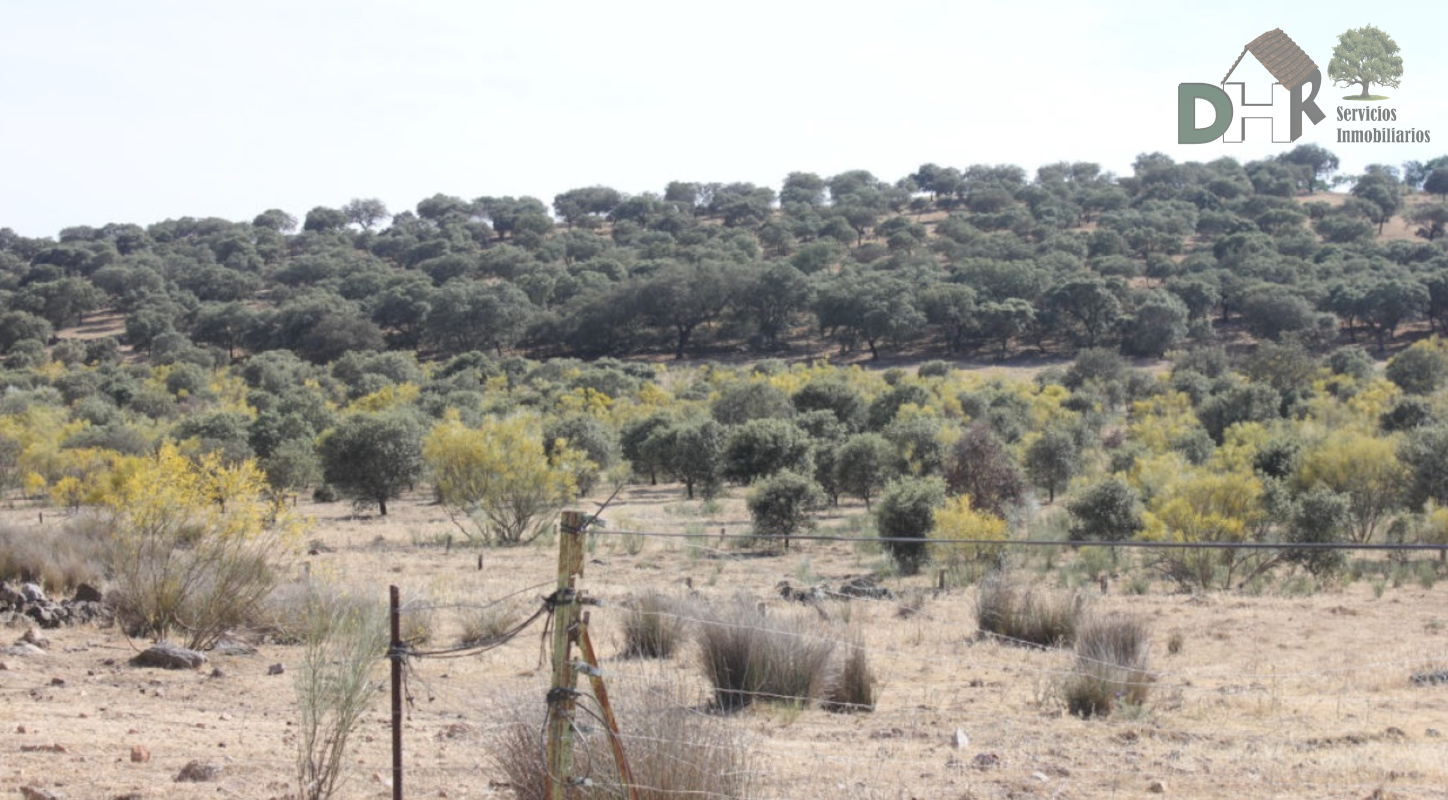 For sale of land in Badajoz