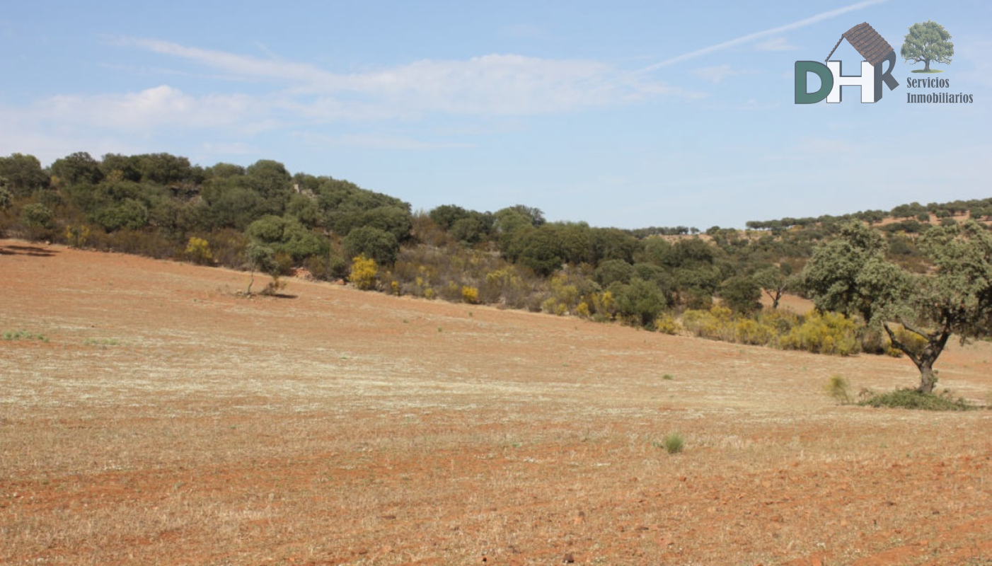 For sale of land in Badajoz