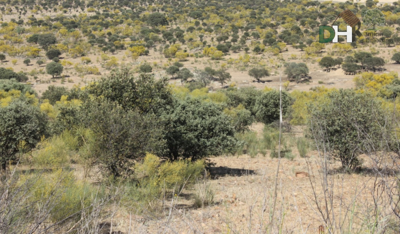 Venta de terreno en Badajoz