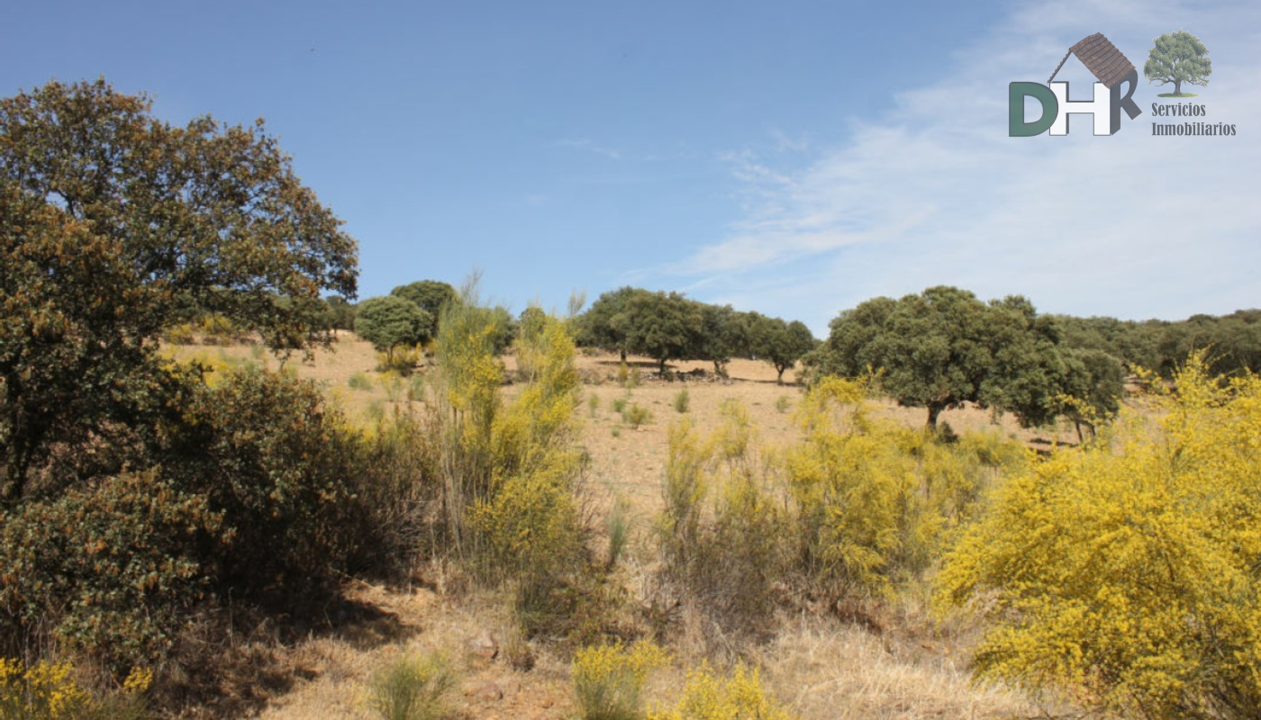 For sale of land in Badajoz