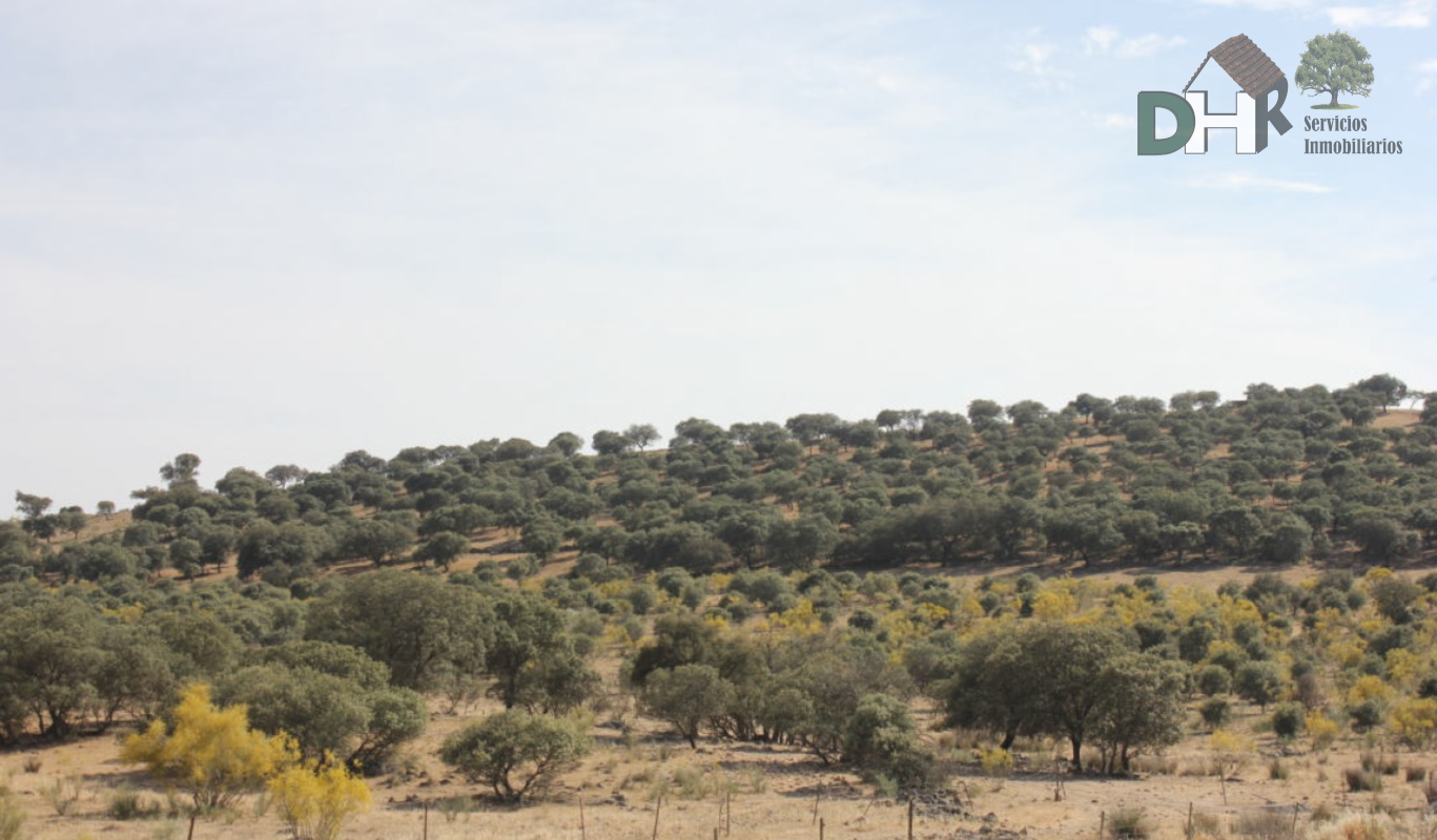 Venta de terreno en Badajoz