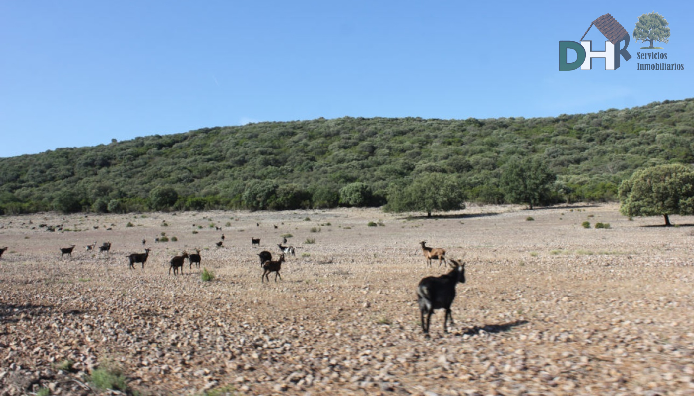 For sale of land in Ciudad Real