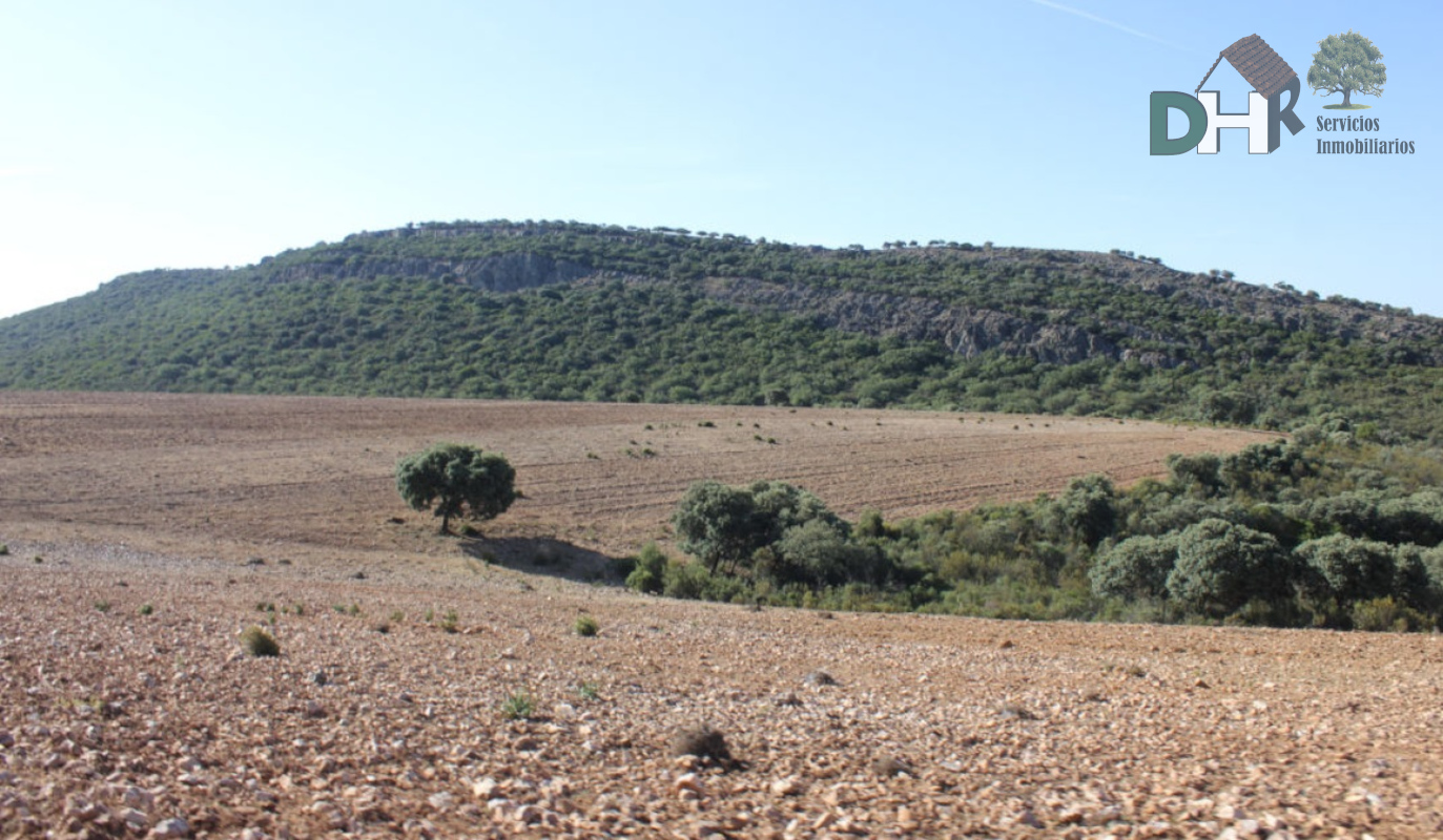 For sale of land in Ciudad Real