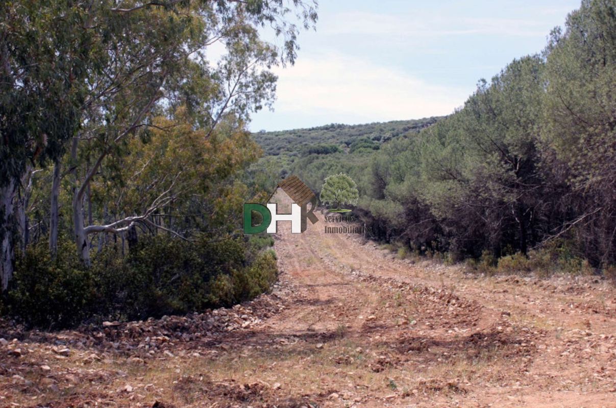 For sale of land in Ciudad Real