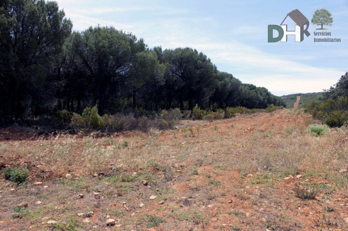 For sale of land in Ciudad Real