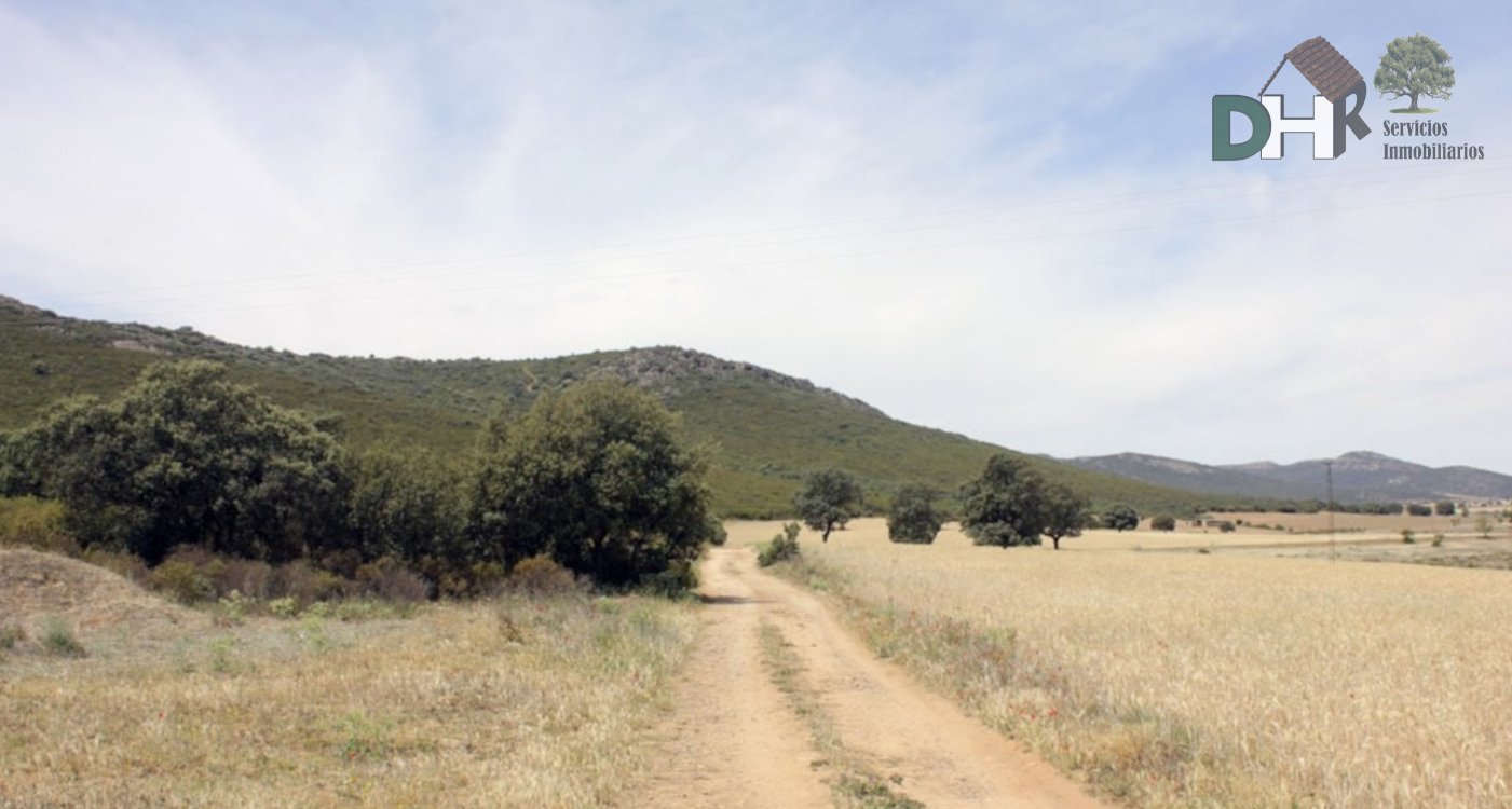 For sale of land in Ciudad Real